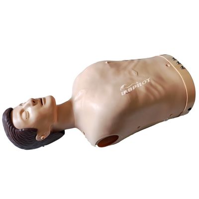 Elektronische Bust-Kreislauf-Übung Manikin Patientenversorgung Demonstration mit fortschrittlichen PVC