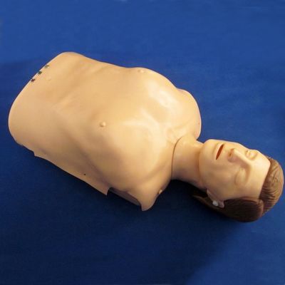 Elektronische Bust-Kreislauf-Übung Manikin Patientenversorgung Demonstration mit fortschrittlichen PVC