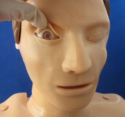 Elektronische Bust-Kreislauf-Übung Manikin Patientenversorgung Demonstration mit fortschrittlichen PVC