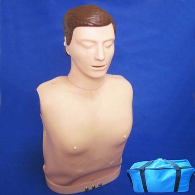 Elektronische Bust-Kreislauf-Übung Manikin Patientenversorgung Demonstration mit fortschrittlichen PVC