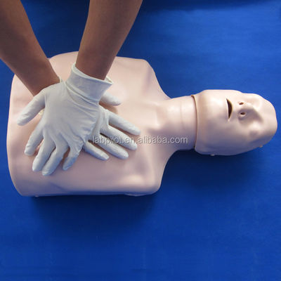 Halbkörper-Lebenswiederholung-Trainingsmannequin Die perfekte Ergänzung zu Ihren Notfall-Fähigkeiten