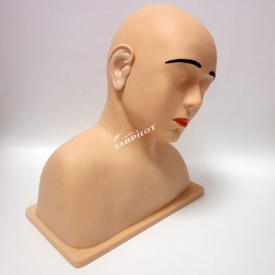 Das ultimative Werkzeug für den Ohrbewässerungstrainingsimulator