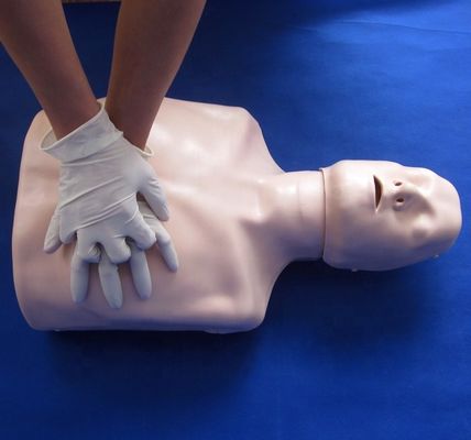 Einfache Art Erste Hilfe Halbkörper CPR-Training-Mannequin für Schulbildungseinrichtung