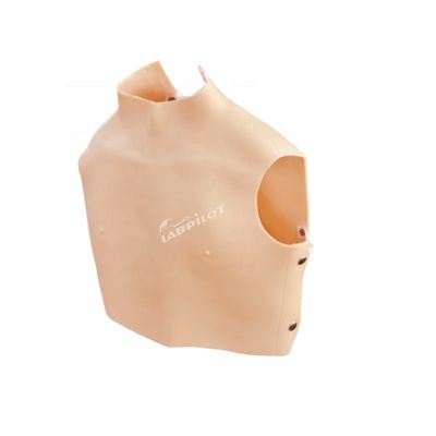 Demonstration der Patientenversorgung Kardiopulmonaler Auskultationssimulator mit fortgeschrittenem PVC