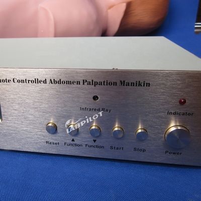 Abdominal Palpation Simulator für die Pflegebildung und realistische menschliche Simulation