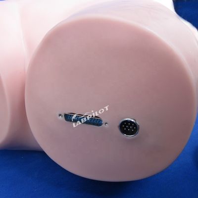 Abdominal Palpation Simulator für die Pflegebildung und realistische menschliche Simulation
