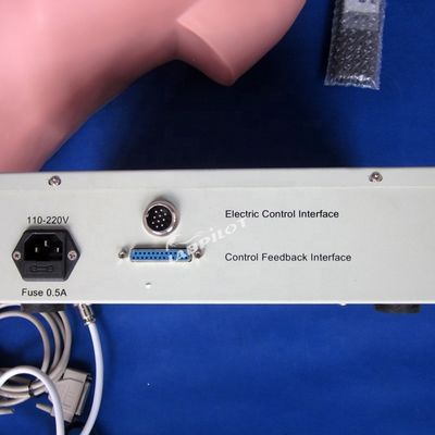 Abdominal Palpation Simulator für die Pflegebildung und realistische menschliche Simulation