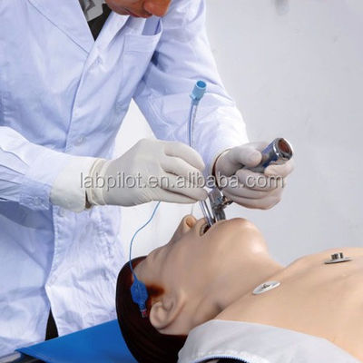 Fortgeschrittene Lebensunterstützungsmannequin für umfassende Notfallfähigkeiten und EKG-Lehrartikel