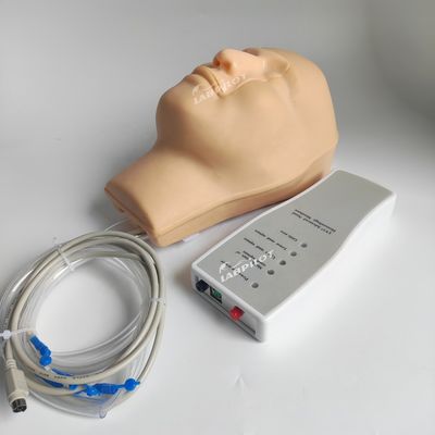Vivid Kopf und Nacken Modell Nasenblutungs Simulator für Patienten Pflege Demonstration