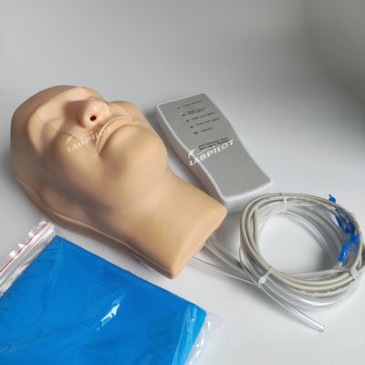 Vivid Kopf und Nacken Modell Nasenblutungs Simulator für Patienten Pflege Demonstration