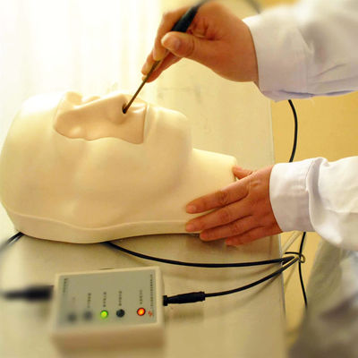 Vivid Kopf und Nacken Modell Nasenblutungs Simulator für Patienten Pflege Demonstration