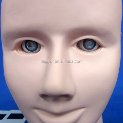 Mannequin für die Weiterbildung der menschlichen Augenuntersuchung Simulator Retinopathie Fundus Modell