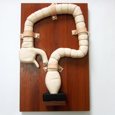 Anatomie Modell von Rektum und Dickdarm Advanced PVC Human Life Size Darm Endoskopie Simulator