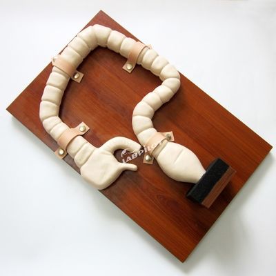 Anatomie Modell von Rektum und Dickdarm Advanced PVC Human Life Size Darm Endoskopie Simulator