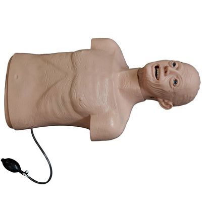 Erweiterte PVC-Manikine - die beste Wahl für die Wiederbelebung und Intubation älterer Menschen