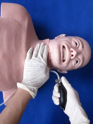 Erweiterte PVC-Manikine - die beste Wahl für die Wiederbelebung und Intubation älterer Menschen