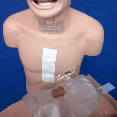 Erweiterte PVC-Manikine - die beste Wahl für die Wiederbelebung und Intubation älterer Menschen