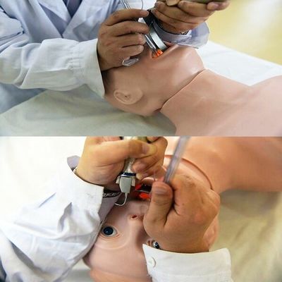 Erweiterte PVC-Manikine - die beste Wahl für die Wiederbelebung und Intubation älterer Menschen