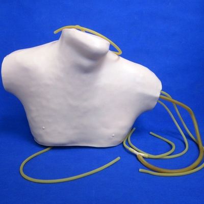Erweiterter PVC-CVC-Ausbildungssimulator für Zentralvenenetektur und Intubationsbildung