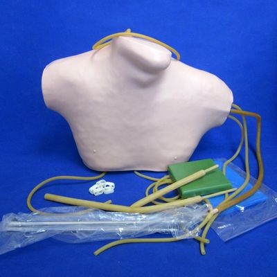 Erweiterter PVC-CVC-Ausbildungssimulator für Zentralvenenetektur und Intubationsbildung
