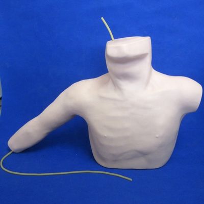 Periphere Venenpunktion und Zentralvenenkatheter Einfügung Lehre Modell PICC Simulator