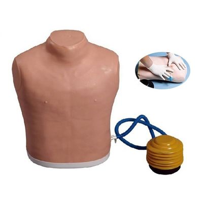 Medizinische Wissenschaft Brustrohr-Mannequin für Spannung Pneumothorax Dekompression Training Modell