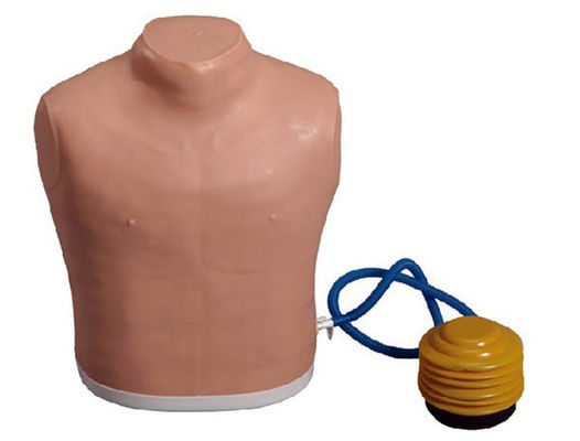 Medizinische Wissenschaft Brustrohr-Mannequin für Spannung Pneumothorax Dekompression Training Modell