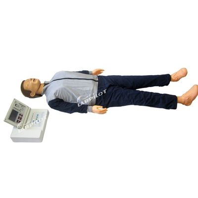 Realistische menschliche Puppe Groß-LCD-Wiederbelebung Lehrmodell für Erwachsene CPR-Ausbildung