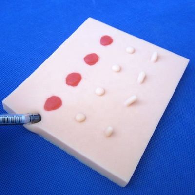 Lebhafte pathologische Hautkrankheit Läsionen Modell für die medizinische Lehre Nähpad