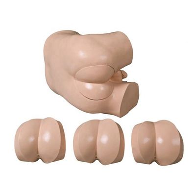 Fortgeschrittene DRE-Krankenpflege-Ausbildung Simulator Klinische Fähigkeiten Modell für Rektal-Touch-Untersuchung