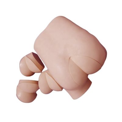 Fortgeschrittene DRE-Krankenpflege-Ausbildung Simulator Klinische Fähigkeiten Modell für Rektal-Touch-Untersuchung