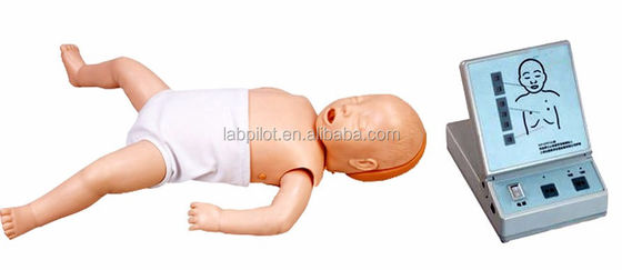 Eine Baby-Kreislauf-Kreislauf-Mannequin ist für eine fortgeschrittene Herzreanimation unerlässlich