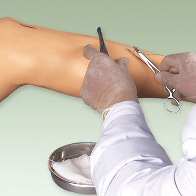 Medizinische Chirurgie-Ausbildungsmodell Lebhaftes Beinmodell für die Demonstration von chirurgischen Instrumenten
