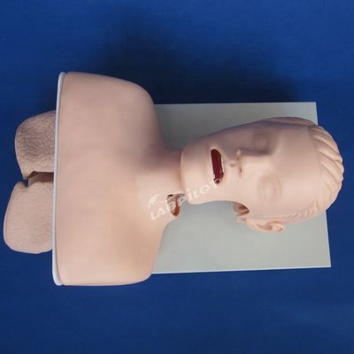 Trachea-Intubation Praxis menschliche Lebensgröße Oral- und Nasen-Intubations-Training-Modell