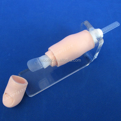 Ein Einwachsender Nageltrainer Das ultimative Modell für Nagelentnahme-Training und -Übung