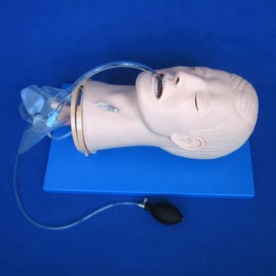 Multifunktionale Endotracheale Intubation Training Mannequin für Atemwegsmanagement Modell