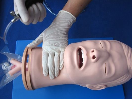 Multifunktionale Endotracheale Intubation Training Mannequin für Atemwegsmanagement Modell