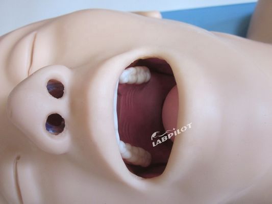 Mehrzweck-Human Simulator für Atemwegsbehandlung und Krikoidpunktion in Krankenhäusern