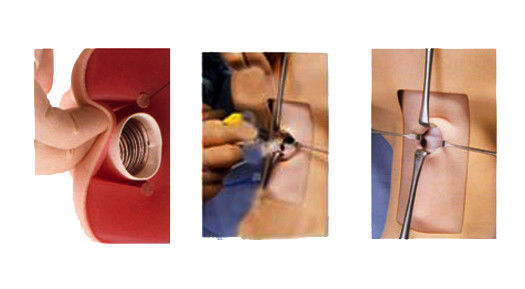 Manikin Anatomie Unterricht Tracheostomie Demonstrationsmodell für Medizinische Wissenschaft
