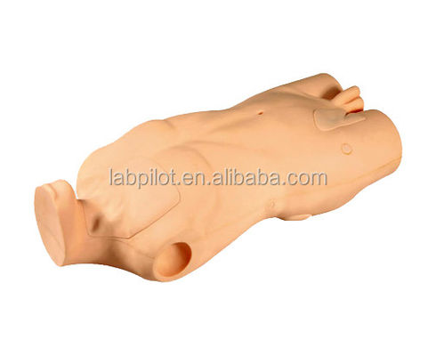 Erweitertes PVC-Torso-Modell für die Entwicklung von Fähigkeiten bei der zentralvenösen Injektion und Punktion