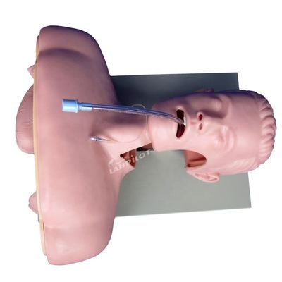 Leiter der Ausbildung zur elektronischen Intubation für die Weiterentwicklung des Modells der Luftwegsteuerung und der NG-Rohrfunktion