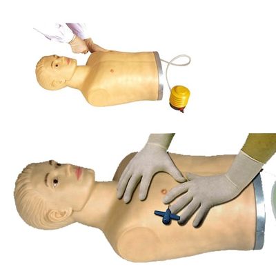 Erweiterte PVC-Thoraxpunktionsmannequin für klinische Fähigkeiten Demonstration und Ausbildung