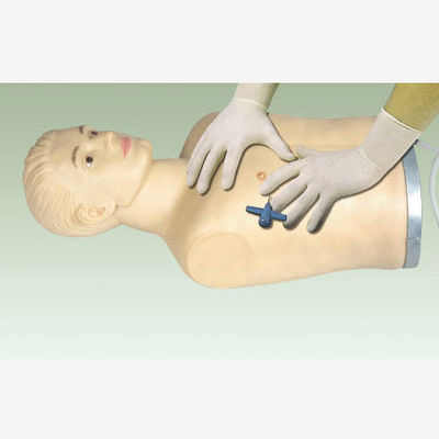 Erweiterte PVC-Thoraxpunktionsmannequin für klinische Fähigkeiten Demonstration und Ausbildung