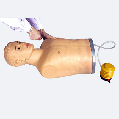 Erweiterte PVC-Thoraxpunktionsmannequin für klinische Fähigkeiten Demonstration und Ausbildung
