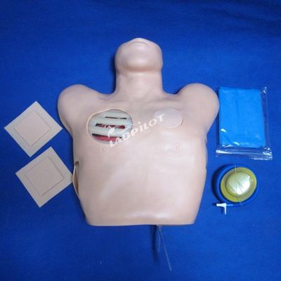 Erweiterte PVC-Manikine für die Pflege Ausbildung der Pleurapunktion Drainage und Thorazentesis