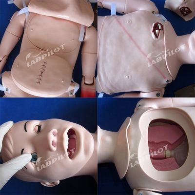 Umfassende Krankenschwester-Mannequin für Trauma- und Wundbehandlung in menschlicher Lebensgröße