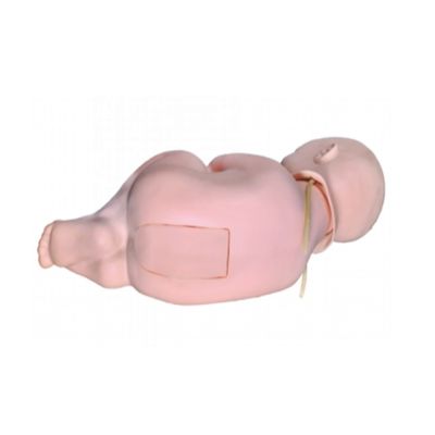 Erweiterte PVC-Kinder-Pediatrische Lumbalpunktion Pflege-Praxis-Simulator Babypuppen-Mannequin