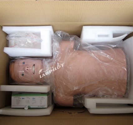 Professionelle menschliche lebensgroße Schaukel für Erwachsene Halbkörper CPR und Intubation Training