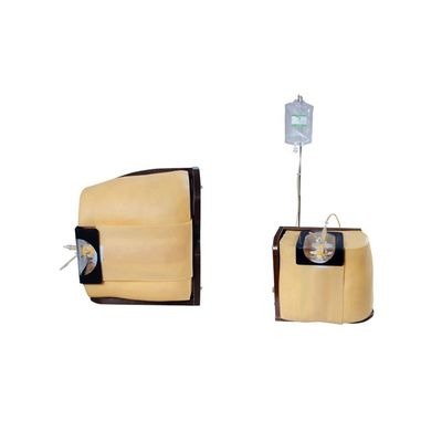 Vivid Human Torso Training und Bildung Modell Advanced PVC Spinal Puncture Simulato
