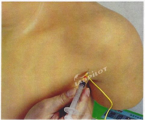 Erweiterte PVC-Medizinische Ausbildung Schultergelenk Intracavitary Injektion Simulator Lehrmodell